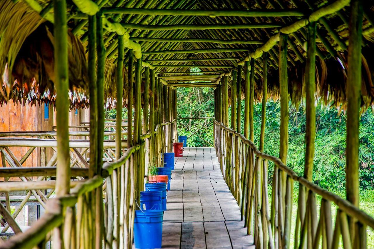 Amazon Muyuna Lodge Paraiso Luaran gambar