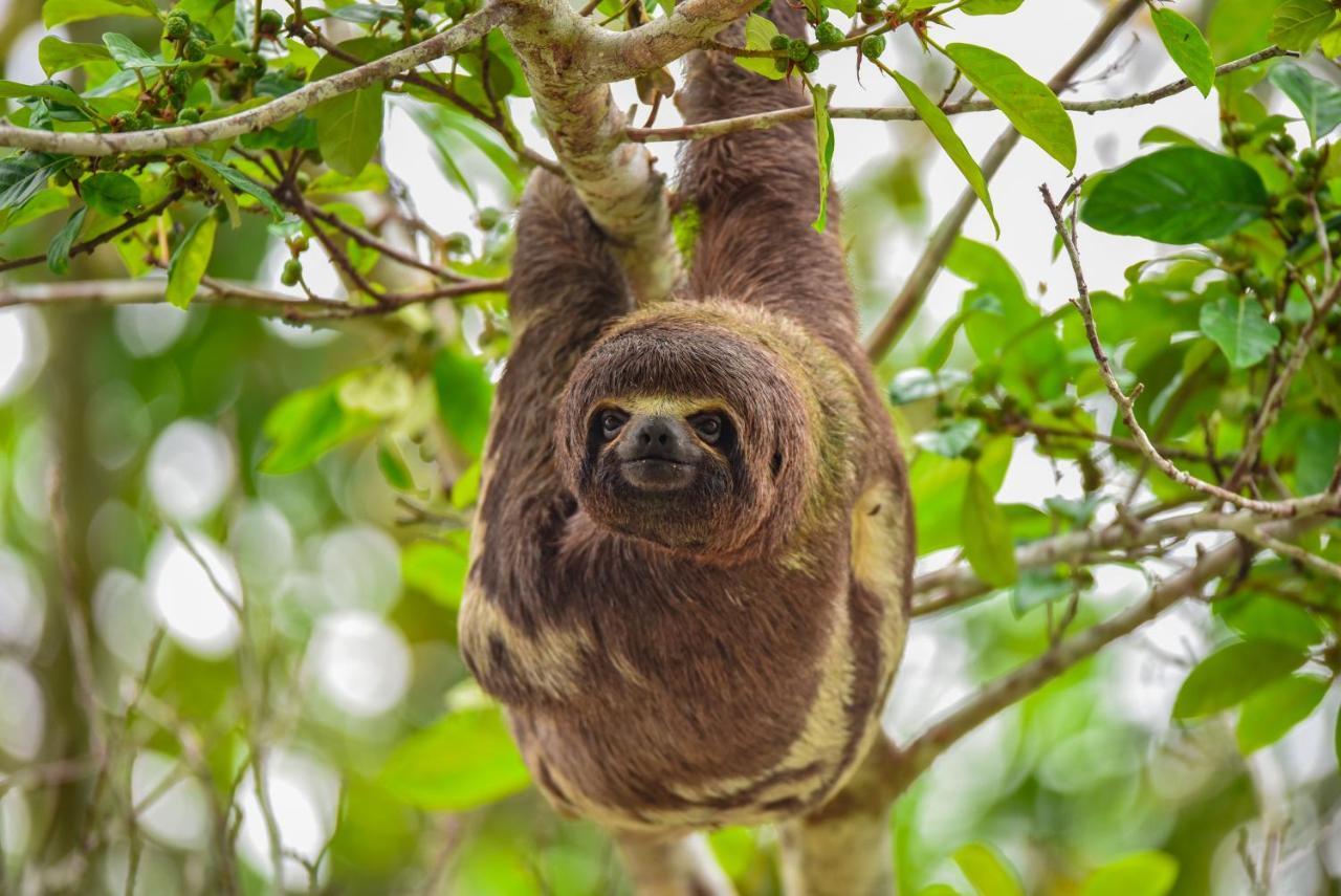 Amazon Muyuna Lodge Paraiso Luaran gambar