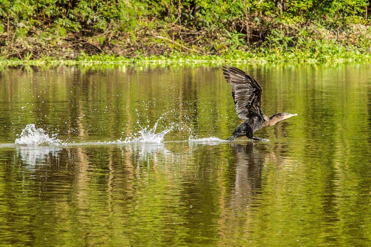 Amazon Muyuna Lodge Paraiso Luaran gambar