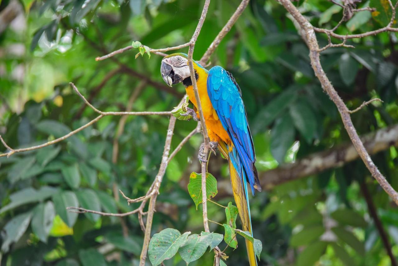 Amazon Muyuna Lodge Paraiso Luaran gambar