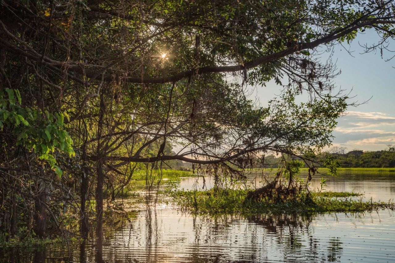 Amazon Muyuna Lodge Paraiso Luaran gambar
