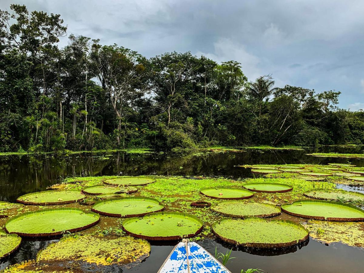 Amazon Muyuna Lodge Paraiso Luaran gambar
